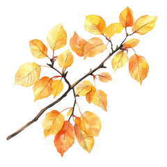 Autumn, watercolor clipart vector, high quality, isolated on a white background.