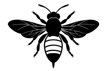 Black and white honeybee silhouette illustration