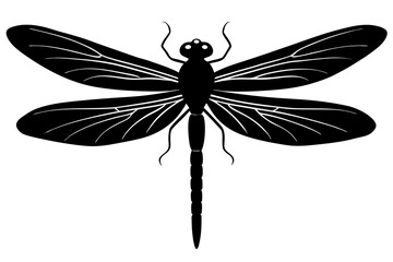 Black and white dragonfly silhouette illustration