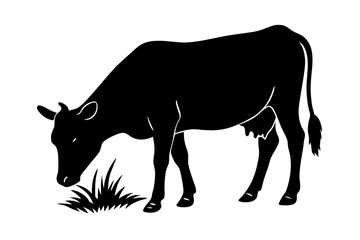 Black silhouette of cow grazing in pasture