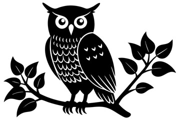 Black and white owl perched on branch