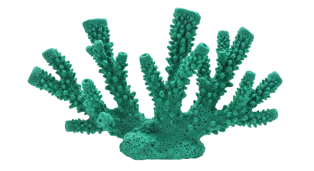 Schapenvacht deken Koraalrif Isolated Green Sea Coral  © Paul