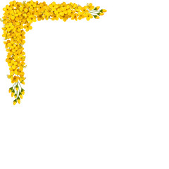 Obraz premium Cassia fistula, Kani Konna flower illustration In Transparent background for Kerala festival vishu celebration - Happy Vishu Day