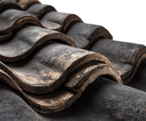 Historic roof tiles architectural detail view urban environment textured surfaces for seo