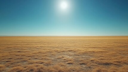 Vast, dry, golden plain under a bright sky