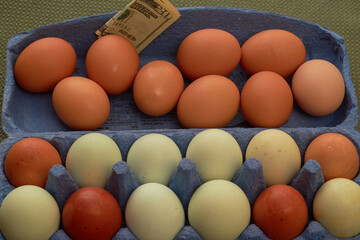 Price of eggs rise as unchecked inflation and greed control what consumers pay at checkout!