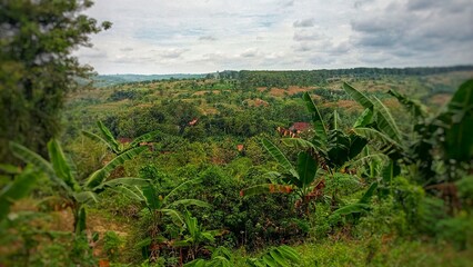 A serene hilly landscape unfolds beneath a blanket of overcast clouds, the muted light casting soft...