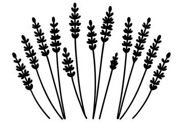 Elegant Lavender Flower Outline Vector Collection – Minimal Botanical Line Art

