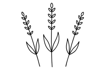 Elegant Lavender Flower Outline Vector Collection – Minimal Botanical Line Art

