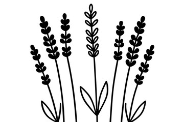Elegant Lavender Flower Outline Vector Collection – Minimal Botanical Line Art

