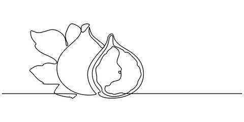 Abstract fig fruit with leaves, Continuous one line drawing isolated on white background, Continuous one single minimal line drawing Figs fruit, Single one line drawing whole healthy organic figs pro.
