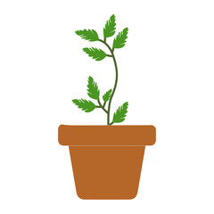 Minimalist Organic Potted Plant Illustration, Flat Design Green Leaf Plant in Simple Pot Isolated on White. Sustainable July Concept