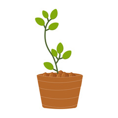 Minimalist Organic Potted Plant Illustration, Flat Design Green Leaf Plant in Simple Pot Isolated on White. Sustainable July Concept