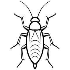 cockroaches line art vector