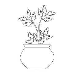 Potted plant in pot outline vector, Modern Line Art flat style Potted Plant with Abstract Shapes on White Background