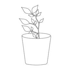 Potted plant in pot outline vector, Modern Line Art flat style Potted Plant with Abstract Shapes on White Background