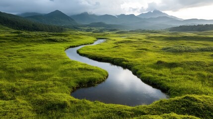 Fototapeta premium This serene image features a winding stream flowing through vibrant green meadows against a backdrop of majestic mountains, symbolizing the harmony of nature and tranquility.