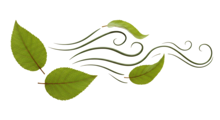 Isolated Wind with Leaves