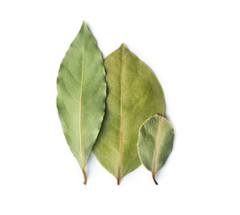Three dry bay leaves close-up isolated on a white background