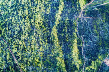 Serpentinite rock stone background