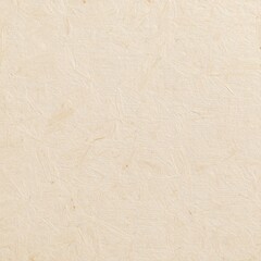 Beige Handmade Paper Texture with Natural Fibers and Irregularities