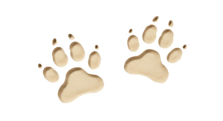 Isolated Paw Prints