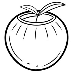 Coconut line art vector