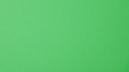 Solid green background with a single tone and faint matte texture, offering a clean and natural look with subtle depth. Perfect for branding, web design, digital art, packaging, social media, presenta