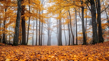 A tranquil autumn forest with golden leaves carpeting the ground and a misty backdrop 