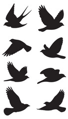 set of silhouettes of birds