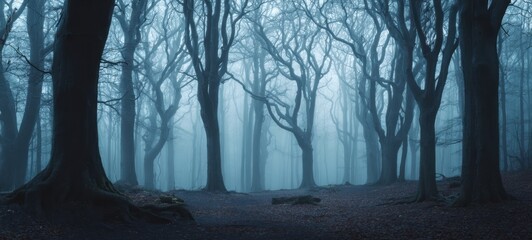 Naklejka premium The misty forest enveloped in tranquil shades of blue and mystery.