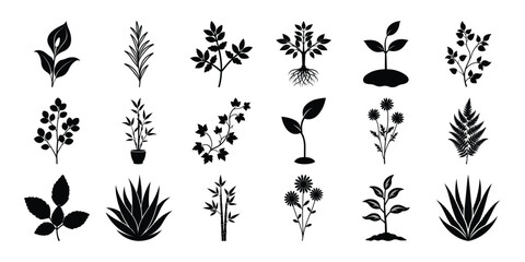 Small plant silhouette set on a white background
