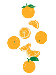 Oranges are falling vector  isolated on white background.	