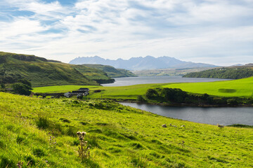 Breathtaking Highland landscape featuring green meadows, tranquil lakes, and Ben Lomond mount in the background.