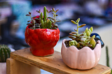 Aretes cuaderno, stiker en colecci&oacute;n para la venta super adorable