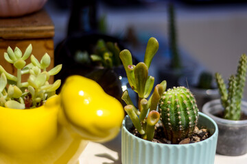 Aretes cuaderno, stiker en colecci&oacute;n para la venta super adorable