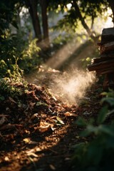 Sunlight Beams on Compost Pile in Lush Garden