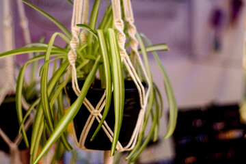 Aretes cuaderno, stiker en colecci&oacute;n para la venta super adorable