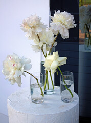 White asters in glass vases on a podium in a modern interior. Celebration decoration. Wedding flower arrangement. Minimalist style. Bouquet of white flowers in a glass vase on a white background