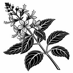 Elegant black and white floral branch illustration botanical design