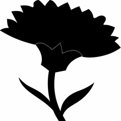 Black silhouette of a single carnation flower