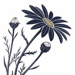 Elegant dark blue daisy flower illustration botanical design
