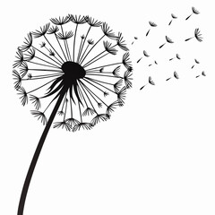 Black and white dandelion seeds blowing in the wind