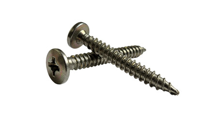 Isolated Two Metal Screws