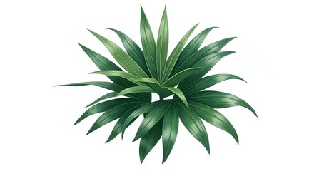Elegant Green Plant Illustration on White