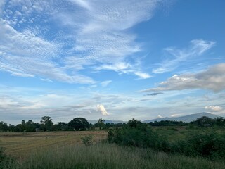 Serene Landscape With Blue Sky and Wispy Clouds Over Fields