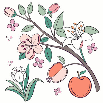 floral branch with pink flowers and apples clip art preview