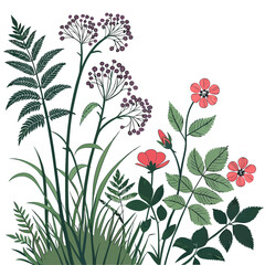 Elegant floral design element with transparent background