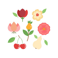 Collection of isolated flat fruit and flower illustrations on white background