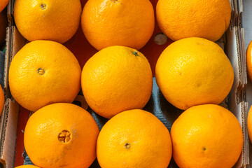Vibrant Oranges at the Market. A Colorful Display of Fresh Oranges Inviting You to Taste the Sweetness of Nature. Fresh Oranges Symbolizing Health and Happiness in a Bustling Market Scene.